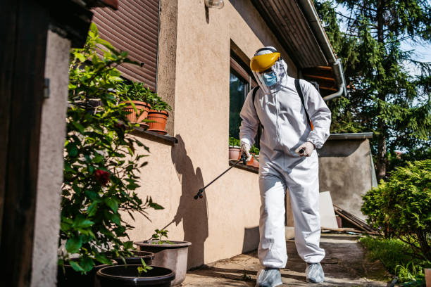 Best Best Pest Control Companies  in Santa Fe Springs, CA