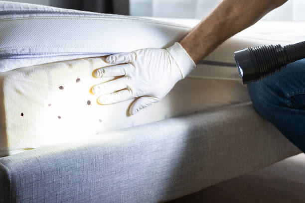 Best Commercial Pest Control Services  in Santa Fe Springs, CA