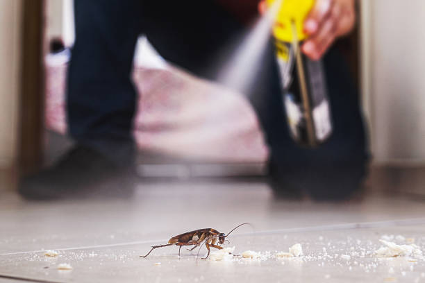 Best Best Pest Control Companies  in Santa Fe Springs, CA