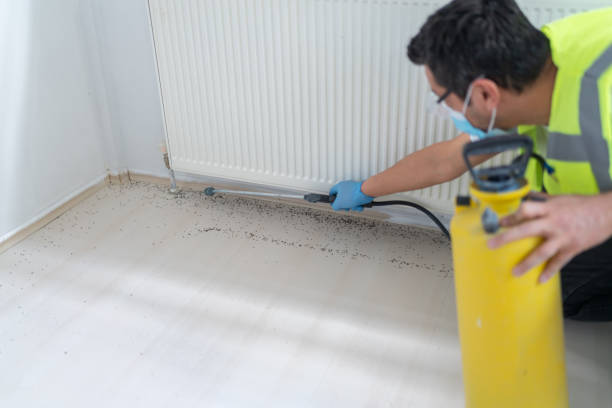 Best Pest Prevention Services  in Santa Fe Springs, CA