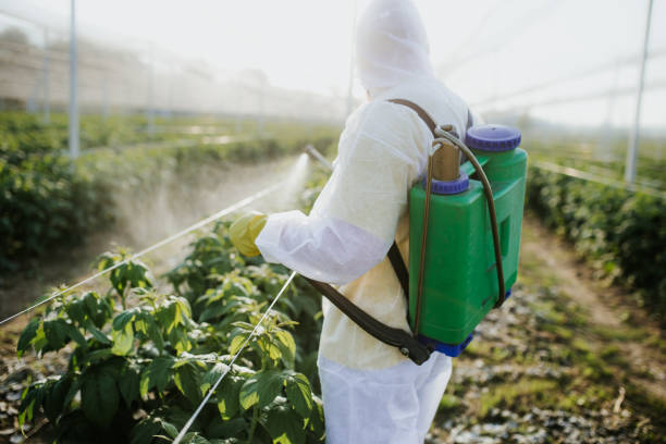 Best Residential Pest Control  in Santa Fe Springs, CA